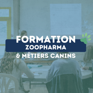 zoopharmacognosie & métiers canins