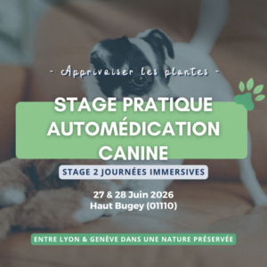 stage pratique automédication canine (01)